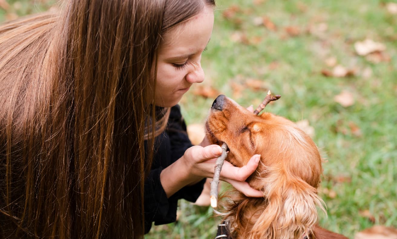 Día de los Derechos Humanos y Día de los Derechos de los Animales: una doble llamada a la dignidad y al respeto